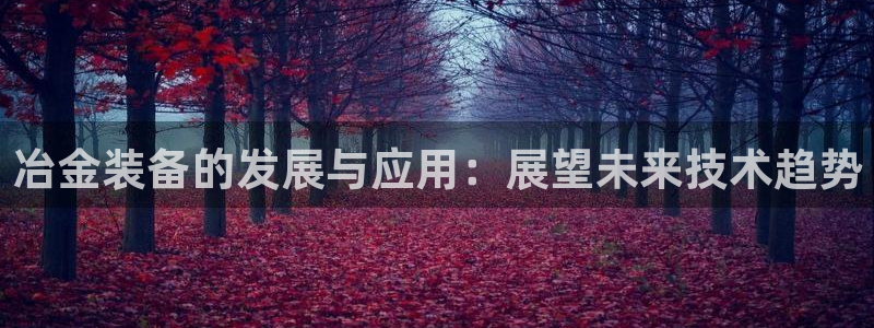 鸿运投资平台是什么