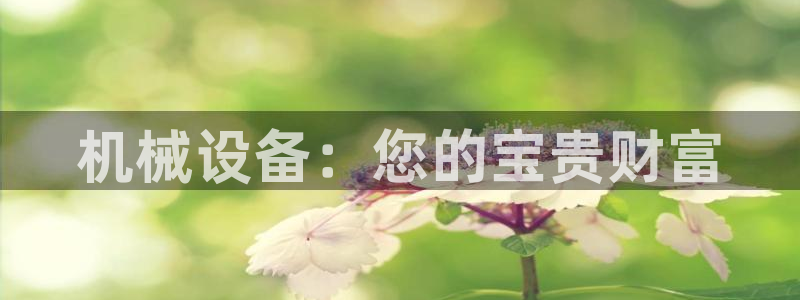 香港鸿运平台