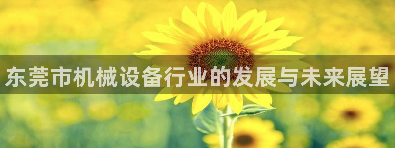 鸿运网上娱乐平台