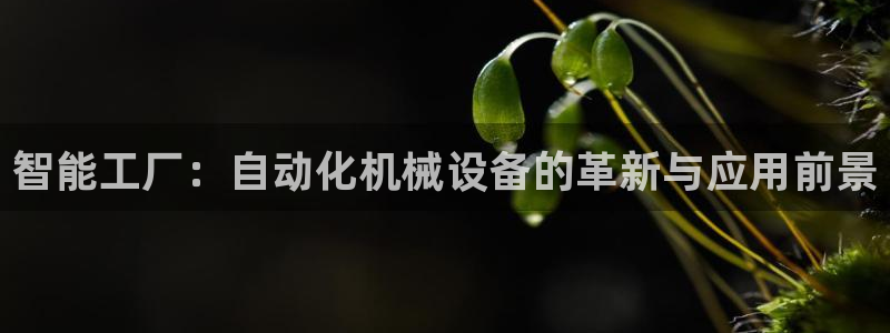 鸿运直播类似直播平台