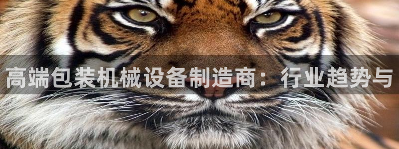 鸿运来补单平台