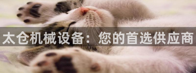 鸿运赌钱平台
