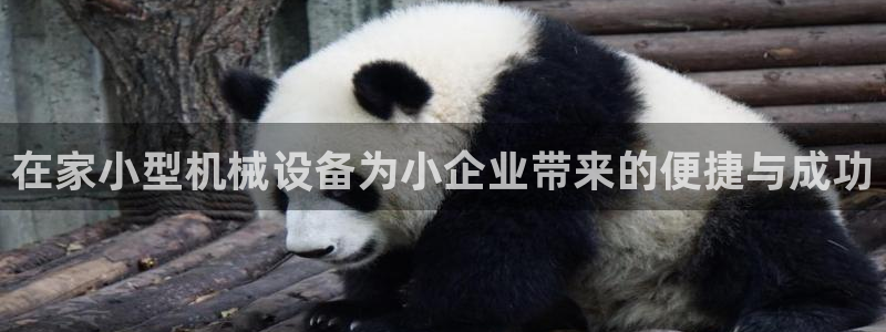 鸿运当头借款平台