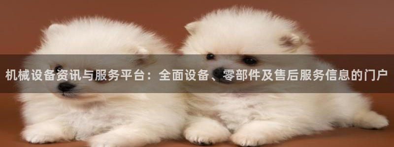 鸿运国际黑平台