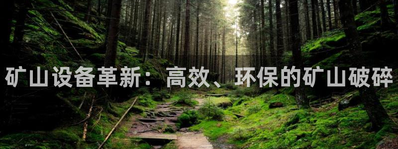 鸿运彩票平台黑