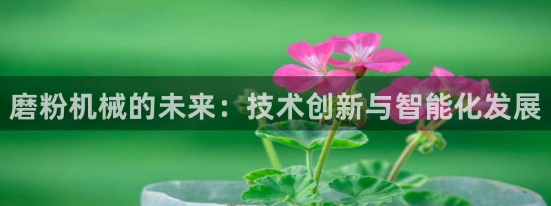 鸿运平台攻略