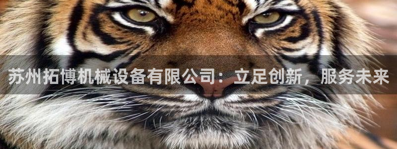 鸿运彩票平台的网址