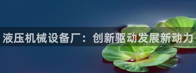 鸿运国际黑平台