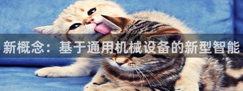 鸿运满堂团购平台
