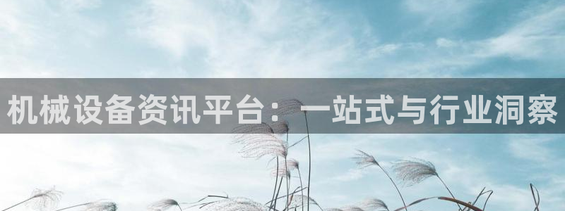 唯一艺术平台鸿运当头