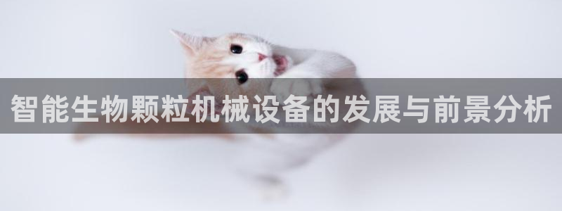 鸿运来补单平台