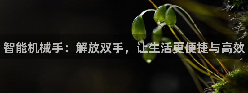 鸿运平台网址