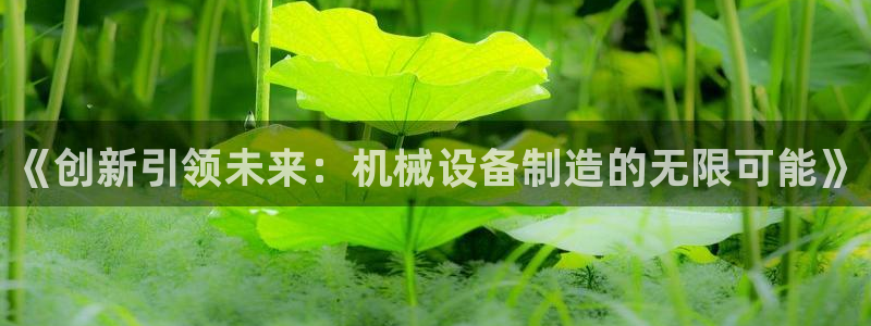 鸿运北斗监控平台
