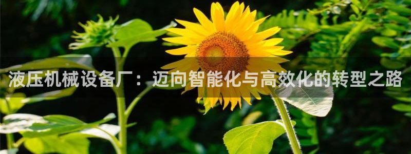 鸿运平台正规吗