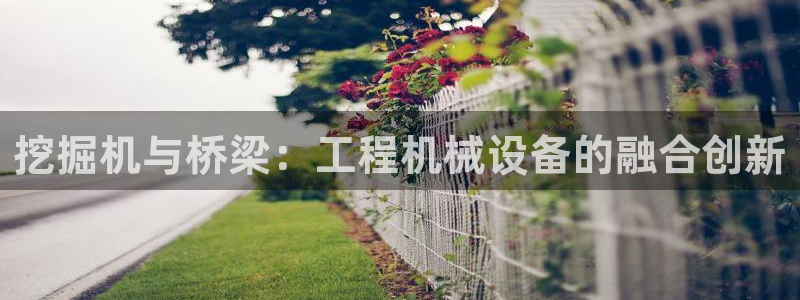 鸿运和拍拍卖平台