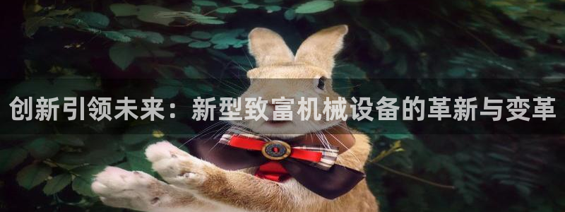 鸿运金融平台