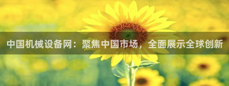 鸿运彩票app平台