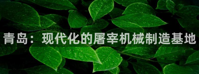 会员鸿运国际平台