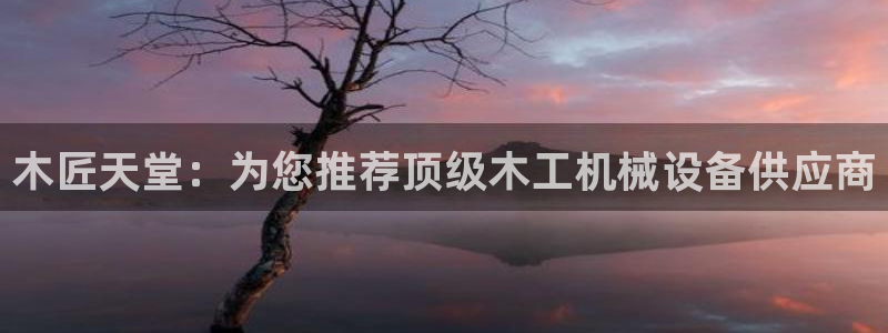 盛世鸿运是什么平台