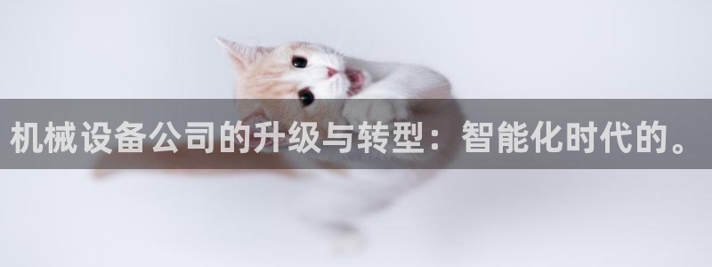 鸿运网平台