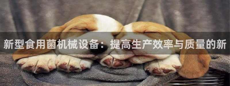 鸿运牛蹄团购平台