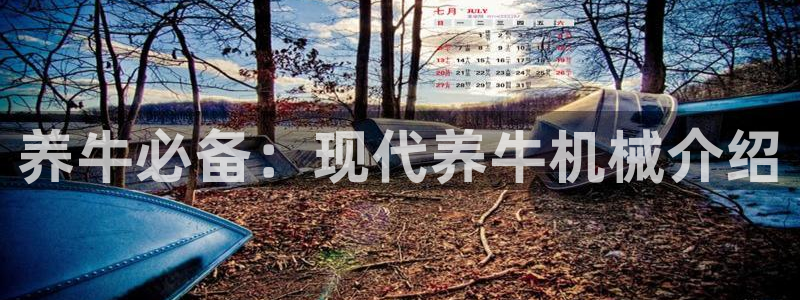 鸿运茶馆平台客服