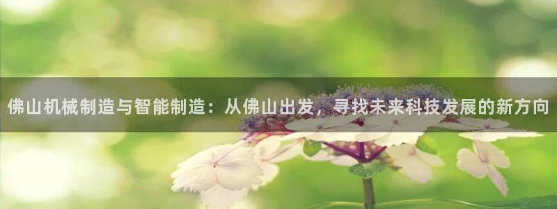 鸿运服务平台是什么平台