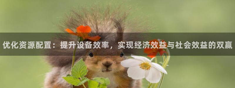 鸿运合拍是什么平台