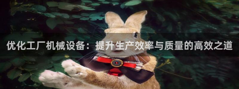 众信鸿运平台