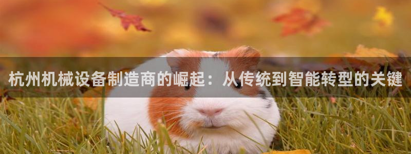 鸿运宝金融投资平台