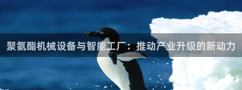 鸿运平台网址