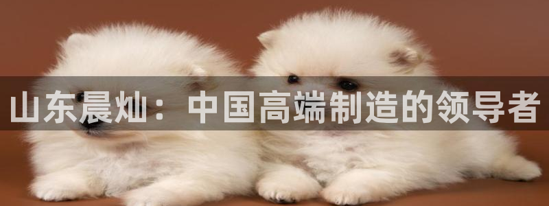 鸿运官方平台