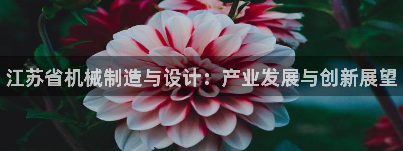 鸿运赌钱平台