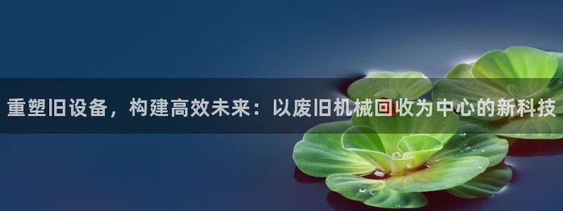 鸿运平台下载