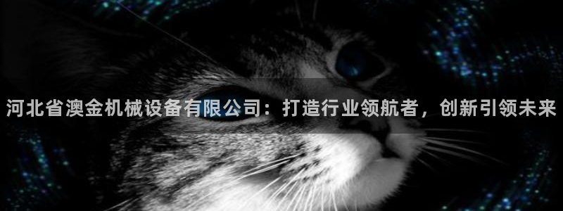 鸿运最新平台叫什么