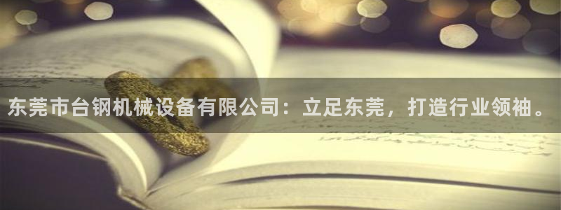 鸿运平台垫付任务