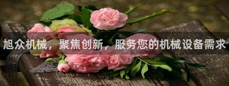菲律宾鸿运彩票平台
