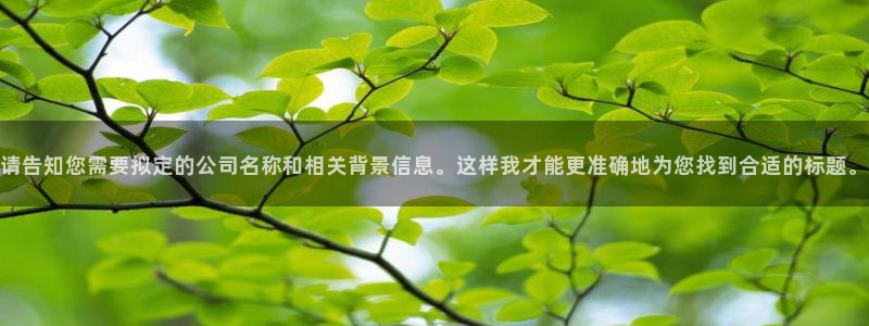 鸿运商滴管理平台