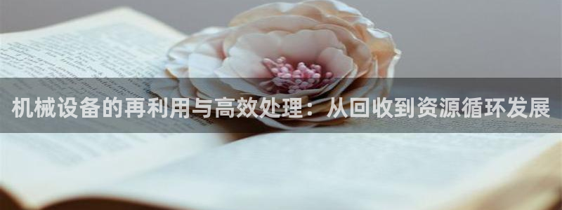 香港鸿运黑平台