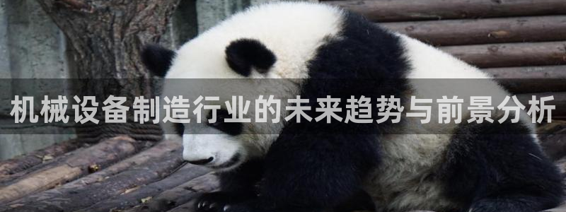 琥珀鸿运平台