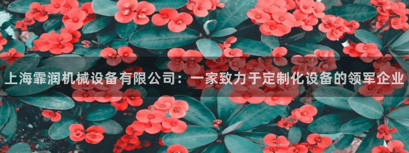 鸿运集团直播平台