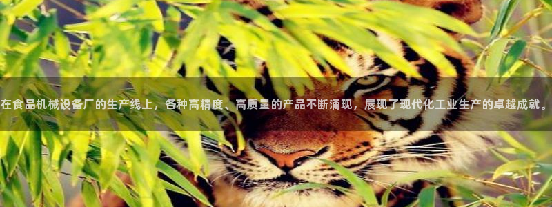 鸿运来彩票平台