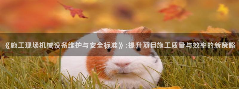 鸿运注册平台闪电