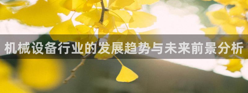 鸿运国际娱平台