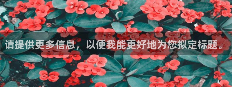鸿运国际平台代理