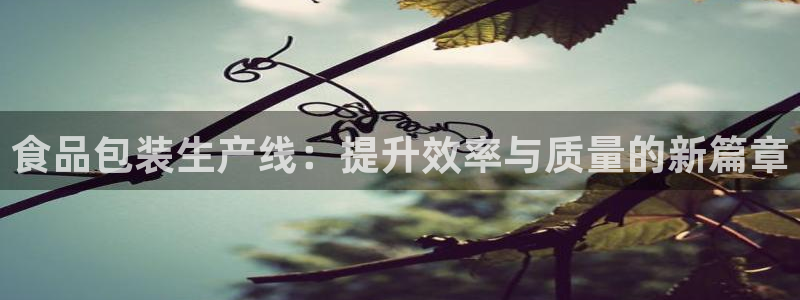鸿运平台代理平