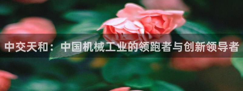 鸿运直播间平台