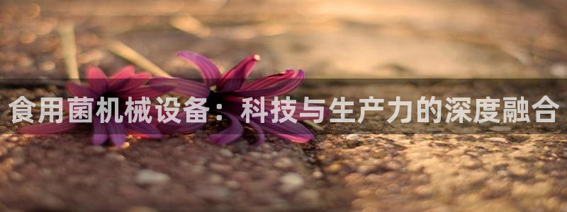 鸿运平台攻略