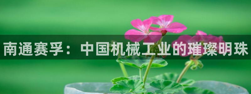 鸿运卡盟平台链接