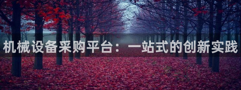 鸿运彩票 的平台